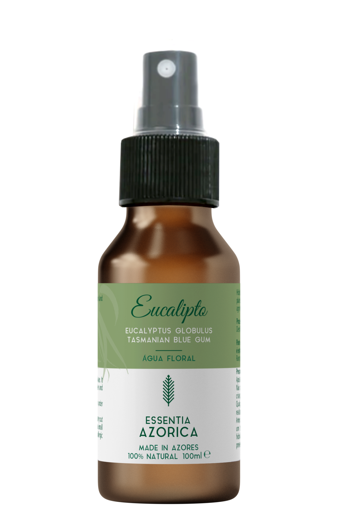 essentia-azorica-eucalipto-eucalyptus-globulus-essentia-azorica